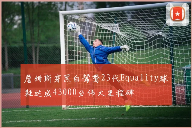 詹姆斯穿黑白鸳鸯23代Equality球鞋达成43000分伟大里程碑