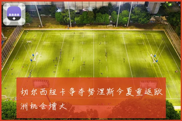 切尔西纽卡争夺努涅斯今夏重返欧洲机会增大
