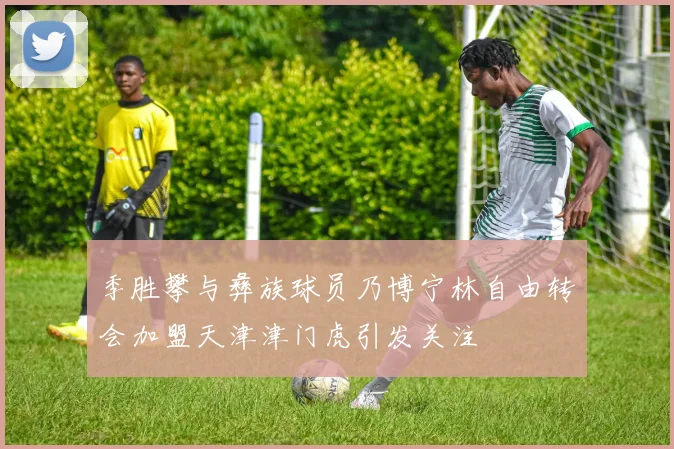 季胜攀与彝族球员乃博宁林自由转会加盟天津津门虎引发关注